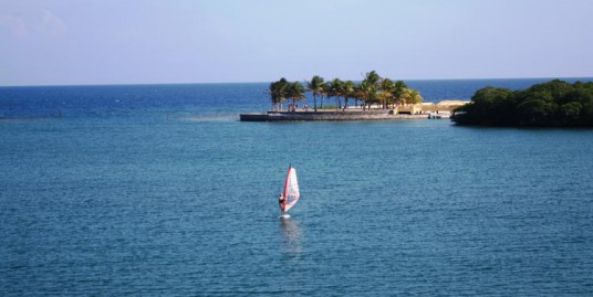 Windsurfing, Parrot Tree Plantation