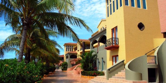 Promenade in front of Marina, Parrot Tree