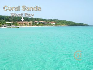 Coral Sands2