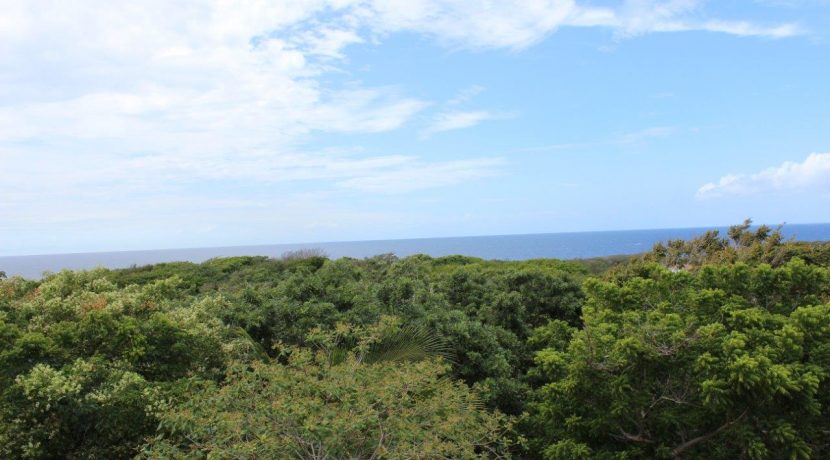 Ocean views from terrace