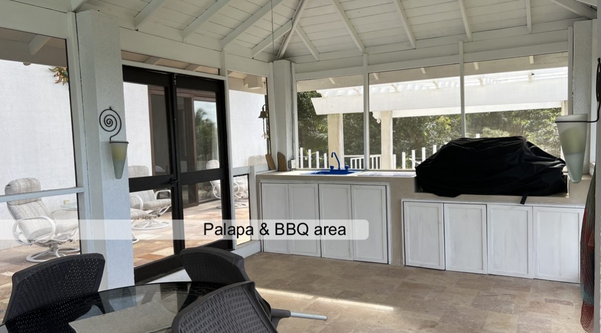 Palapa BBQ area 1