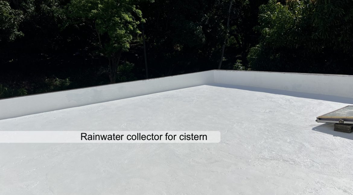 Rainwater collector for cistern