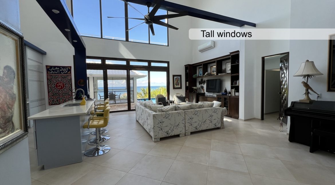 Tall windows in living & kitchen